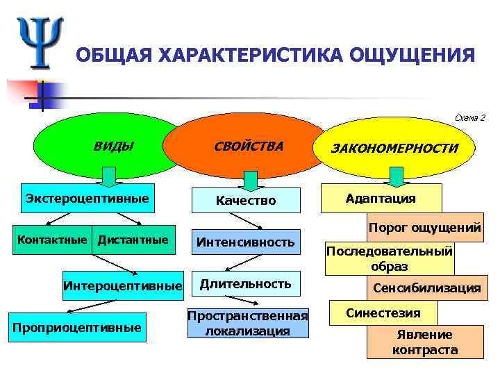 Дистантные ощущения. Контактные виды ощущений. Общая характеристика ощущений. Дистантные и контактные ощущения в психологии. Дистантные виды ощущений.