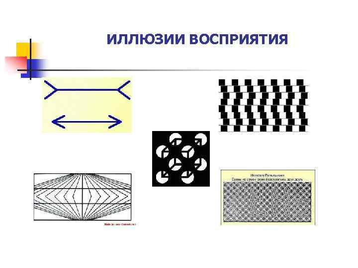 ИЛЛЮЗИИ ВОСПРИЯТИЯ 