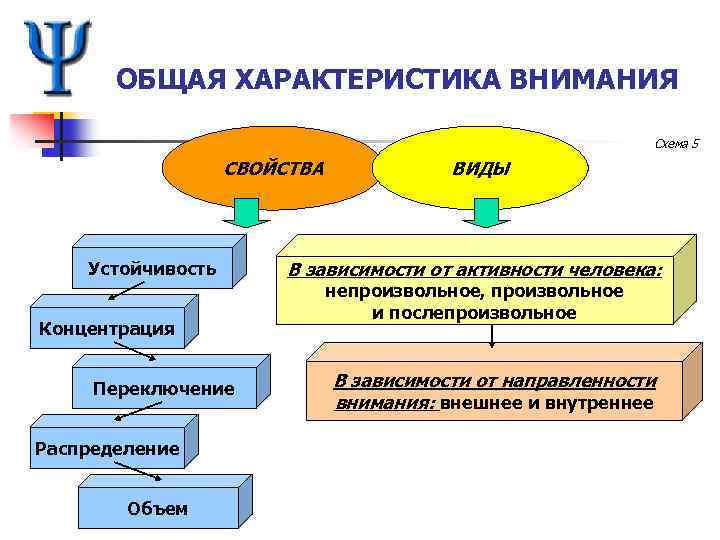 Схемы внимания. Общая характеристика внимания. Общая характеристика внимания в психологии. Основные характеристики произвольного внимания. Основные характеристики внимания в психологии.