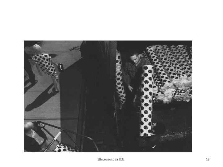 Шилоносова Н. В. 13 
