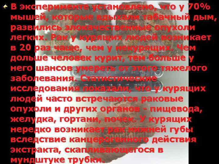 В эксперименте установлено, что у 70% мышей, которые вдыхали табачный дым, развились злокачественные опухоли
