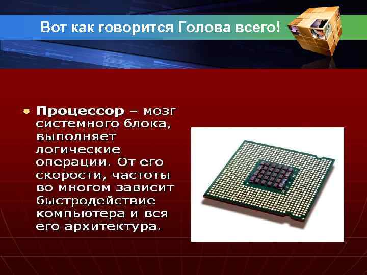 Вот как говорится Голова всего! 