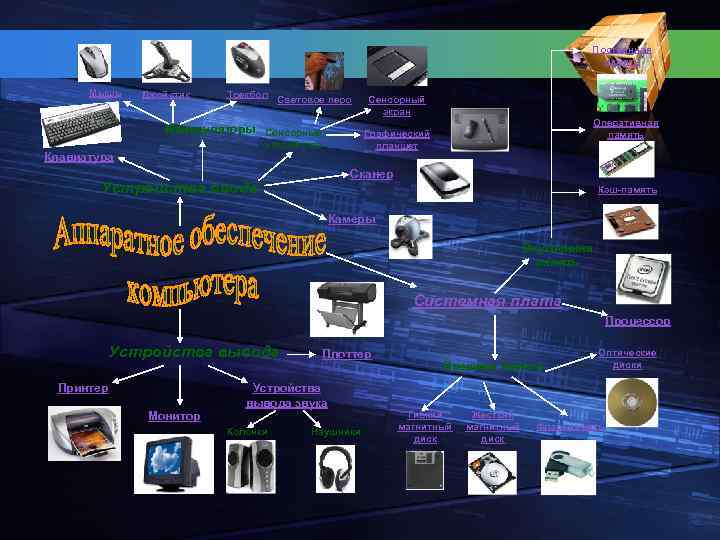 Постоянная память Мышь Джойстик Трекбол Световое перо Манипуляторы Сенсорные Оперативная память Графический планшет устройства