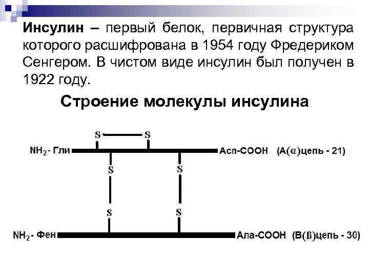Инсулин – первый белок, первичная структура которого расшифрована в 1954 году Фредериком Сенгером. В