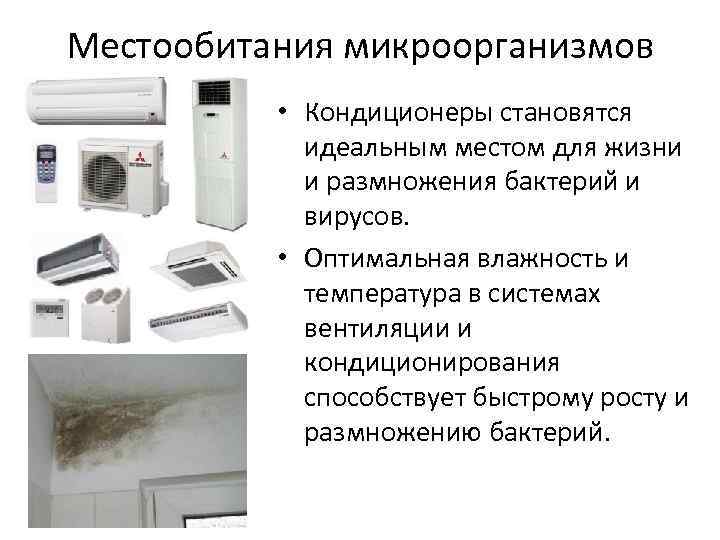 Местообитания микроорганизмов • Кондиционеры становятся идеальным местом для жизни и размножения бактерий и вирусов.