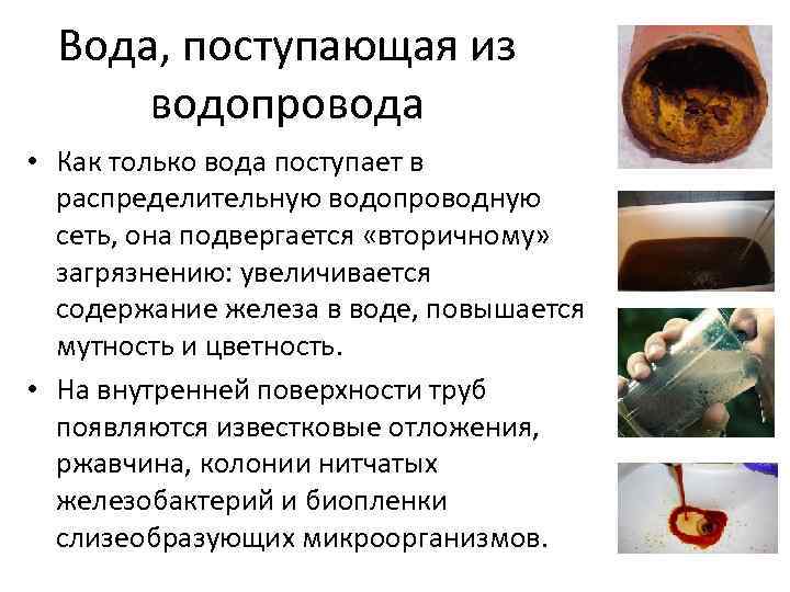 Вода, поступающая из водопровода • Как только вода поступает в распределительную водопроводную сеть, она