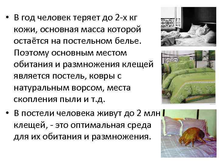  • В год человек теряет до 2 -х кг кожи, основная масса которой