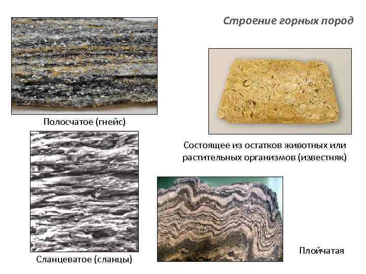 Строение горных пород Полосчатое (гнейс) Состоящее из остатков животных или растительных организмов (известняк) Сланцеватое