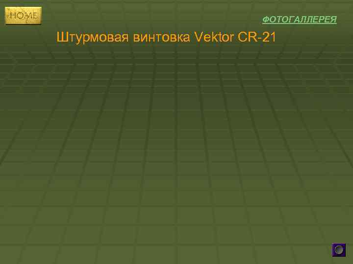 ФОТОГАЛЛЕРЕЯ Штурмовая винтовка Vektor CR-21 