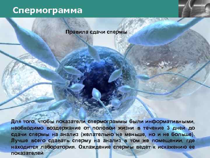 Спермограмма LOGO Правила сдачи спермы Для того, чтобы показатели спермограммы были информативными, необходимо воздержание
