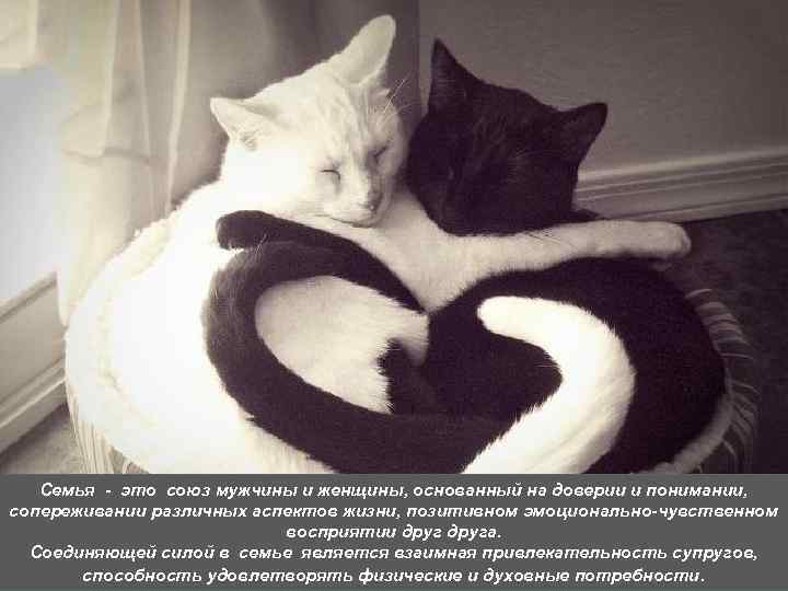 LOGO Семья - это союз мужчины и женщины, основанный на доверии и понимании, сопереживании