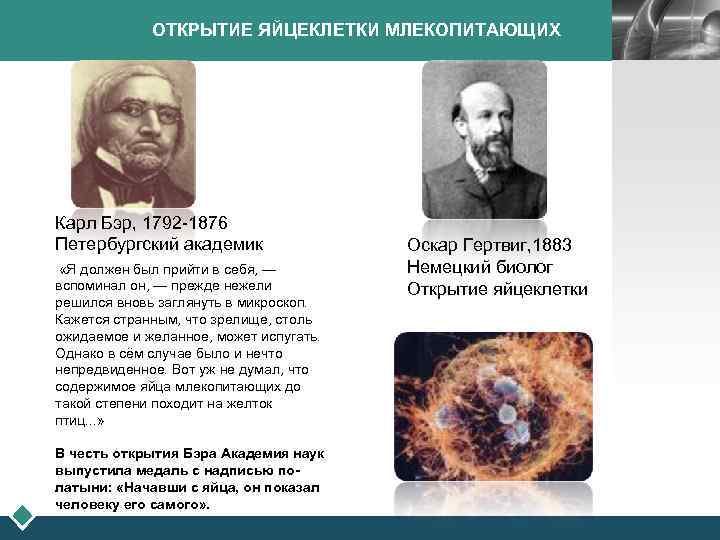 ОТКРЫТИЕ ЯЙЦЕКЛЕТКИ МЛЕКОПИТАЮЩИХ Карл Бэр, 1792 -1876 Петербургский академик «Я должен был прийти в