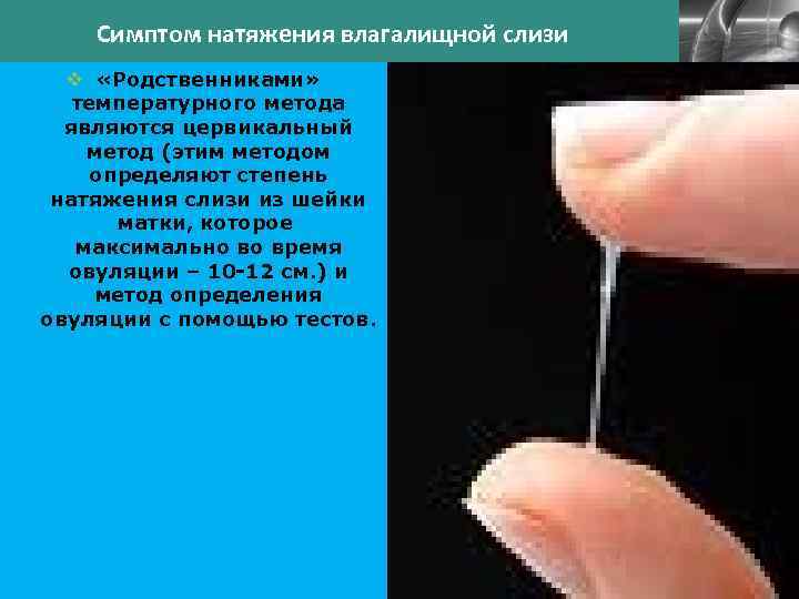  Симптом натяжения влагалищной слизи v «Родственниками» температурного метода являются цервикальный метод (этим методом