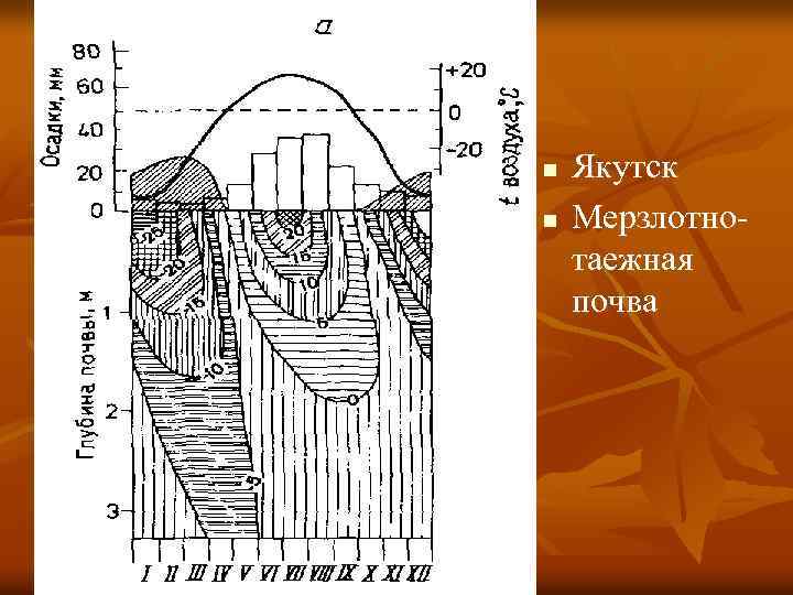 n n Якутск Мерзлотнотаежная почва 