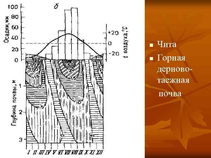 n n Чита Горная дерновотаежная почва 