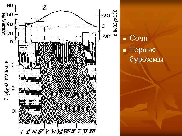 n n Сочи Горные буроземы 