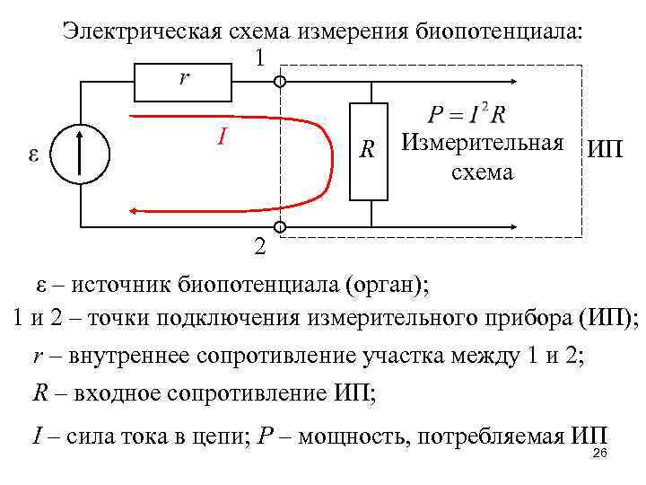 Электрическая схема измерения биопотенциала: 1 R Измерительная ИП схема 2 ε – источник биопотенциала