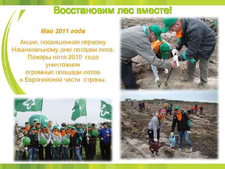 Восстановим лес вместе! Май 2011 года Акция, посвященная первому Национальному дню посадки леса. Пожары