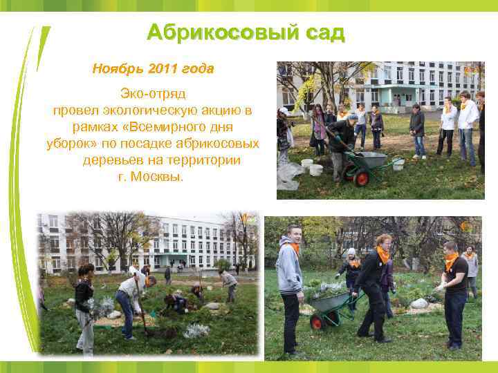 Абрикосовый сад Ноябрь 2011 года Эко-отряд провел экологическую акцию в рамках «Всемирного дня уборок»