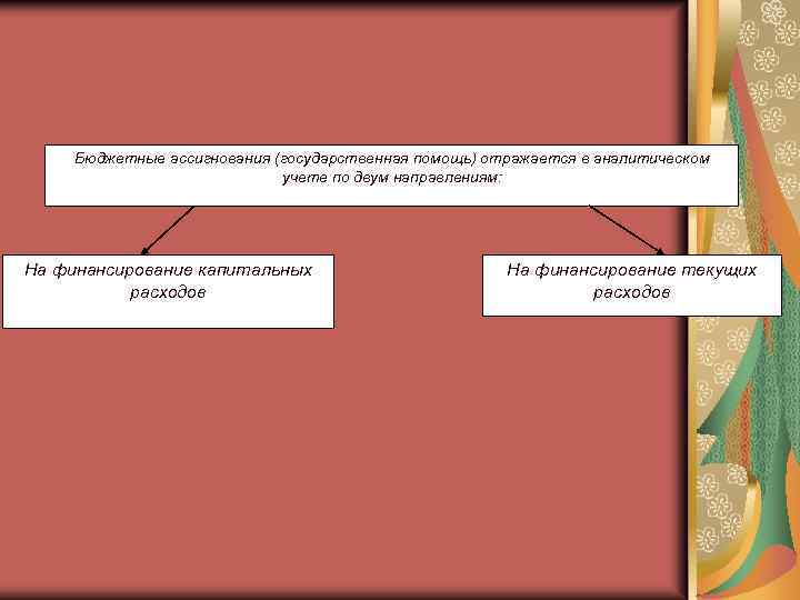 Бюджетные ассигнования (государственная помощь) отражается в аналитическом учете по двум направлениям: На финансирование капитальных