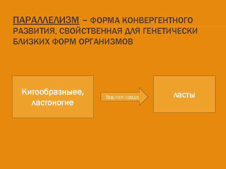 ПАРАЛЛЕЛИЗМ – ФОРМА КОНВЕРГЕНТНОГО РАЗВИТИЯ, СВОЙСТВЕННАЯ ДЛЯ ГЕНЕТИЧЕСКИ БЛИЗКИХ ФОРМ ОРГАНИЗМОВ Китообразныее, ластоногие Водная