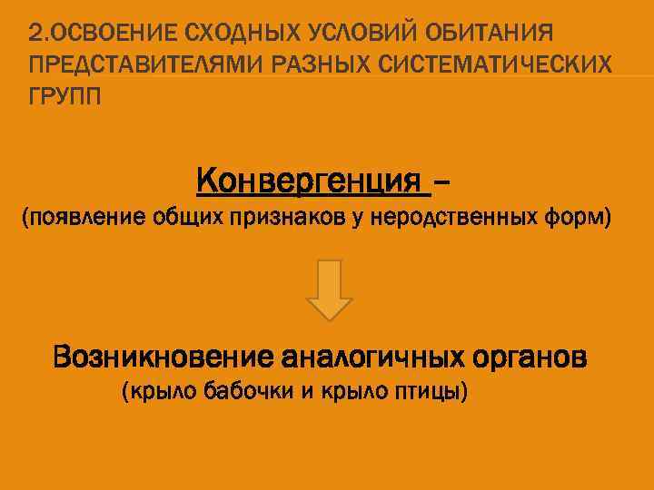 2. ОСВОЕНИЕ СХОДНЫХ УСЛОВИЙ ОБИТАНИЯ ПРЕДСТАВИТЕЛЯМИ РАЗНЫХ СИСТЕМАТИЧЕСКИХ ГРУПП Конвергенция – (появление общих признаков