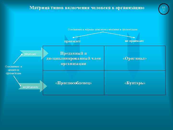 Процесс включения людей в общество. Матрица типов включения человека в организацию. Матрица типа личности. Типы включения человека в организационную среду. Виды включений.