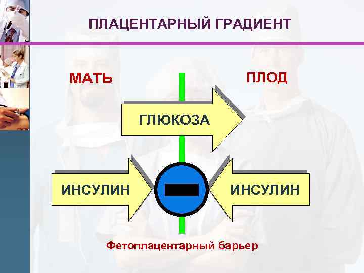 ПЛАЦЕНТАРНЫЙ ГРАДИЕНТ ПЛОД МАТЬ ГЛЮКОЗА ИНСУЛИН Фетоплацентарный барьер 