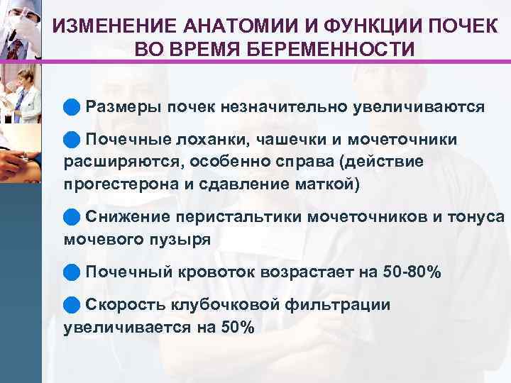 ИЗМЕНЕНИЕ АНАТОМИИ И ФУНКЦИИ ПОЧЕК ВО ВРЕМЯ БЕРЕМЕННОСТИ n Размеры почек незначительно увеличиваются n