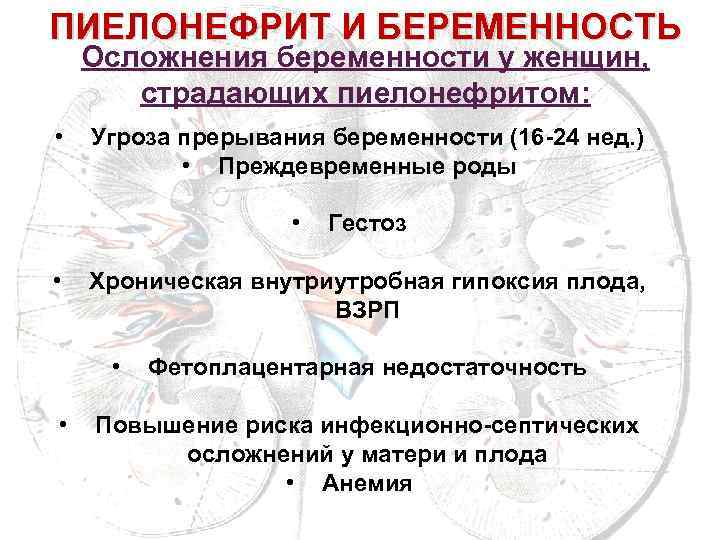 ПИЕЛОНЕФРИТ И БЕРЕМЕННОСТЬ Осложнения беременности у женщин, страдающих пиелонефритом: • Угроза прерывания беременности (16