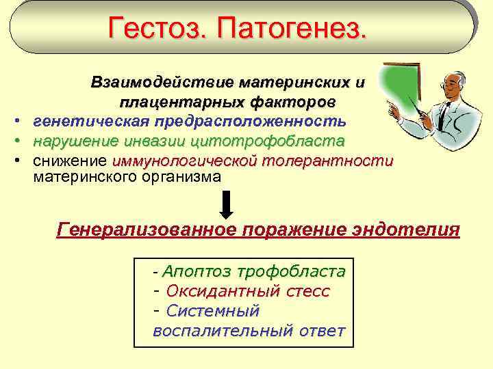 Гестоз. Патогенез. Взаимодействие материнских и плацентарных факторов • генетическая предрасположенность • нарушение инвазии цитотрофобласта