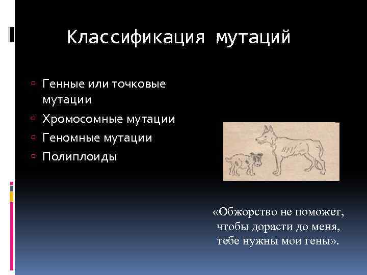 Классификация мутаций Генные или точковые мутации Хромосомные мутации Геномные мутации Полиплоиды «Обжорство не поможет,