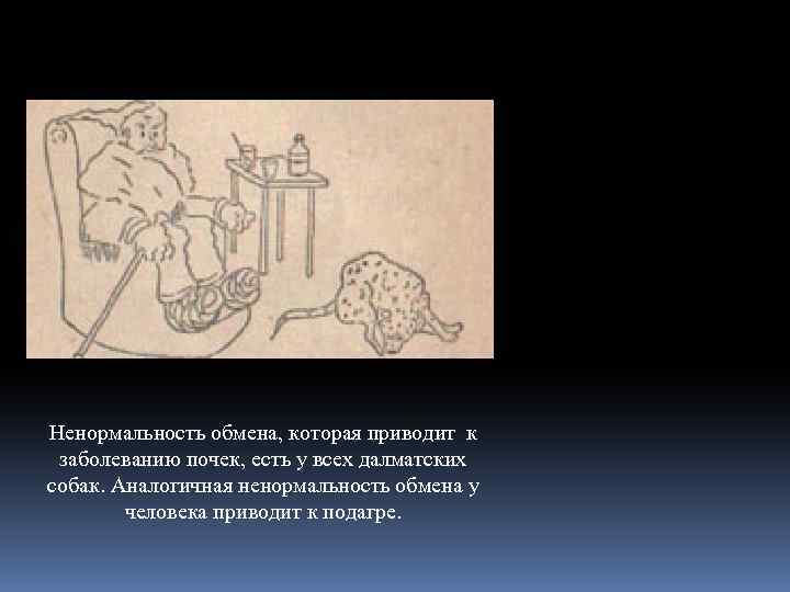 Ненормальность обмена, которая приводит к заболеванию почек, есть у всех далматских собак. Аналогичная ненормальность