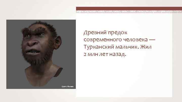 Древний предок современного человека — Турканский мальчик. Жил 2 млн лет назад. Cicero Moraes