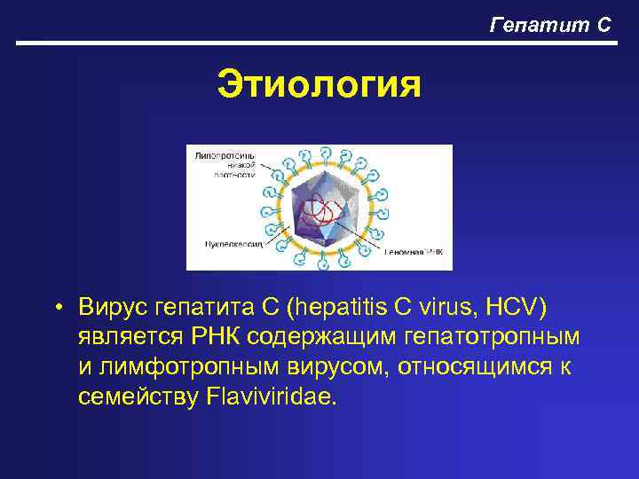 Гепатит с контракт. Гепатит с этиология. Более соответствует вирусной этиологий.
