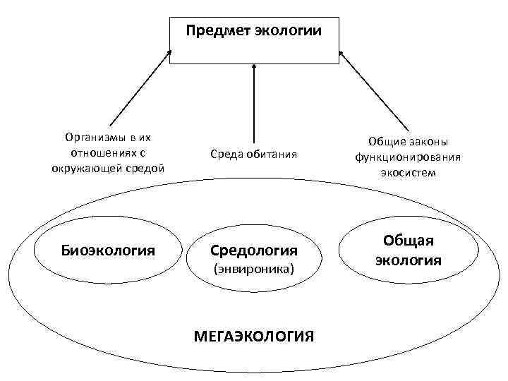 Объекты окружающей среды. Главный объект изучения экологии. Предмет экологии. Экология объект и предмет изучения. Предмет изучения общей экологии.