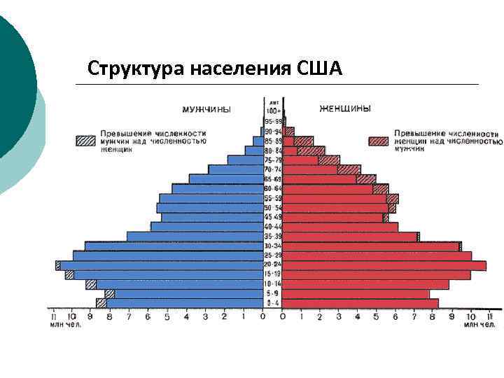 Возраст америки. Возрастно-половая пирамида населения США. Демографическая пирамида США. Половозрастная пирамида США. Половозрастная пирамида США 2021.