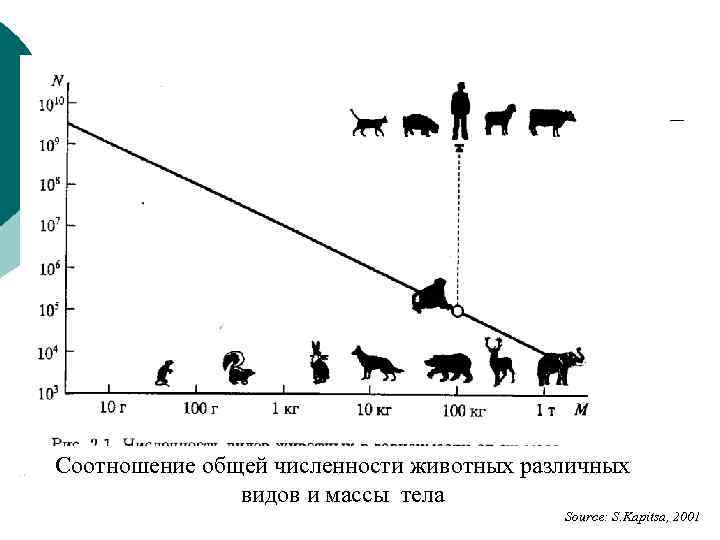 Численность особей равна. Численность популяции животных. Коровы разной массы. График зависимости численности животных в природе. График взаимосвязи численности животных.