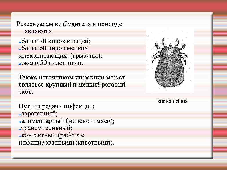 Резервуарам возбудителя в природе являются более 70 видов клещей; более 60 видов мелких млекопитающих