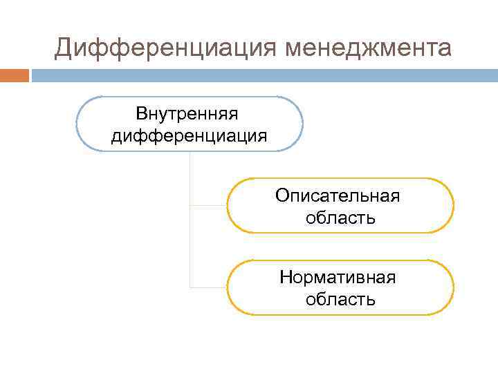 Дифференциация менеджмента Внутренняя дифференциация Описательная область Нормативная область 