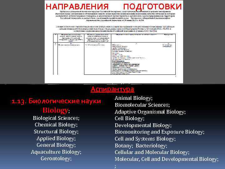 НАПРАВЛЕНИЯ ПОДГОТОВКИ Магистратура, Аспирантура 1. 13. Биологические науки Biology; Biological Sciences; Chemical Biology; Structural