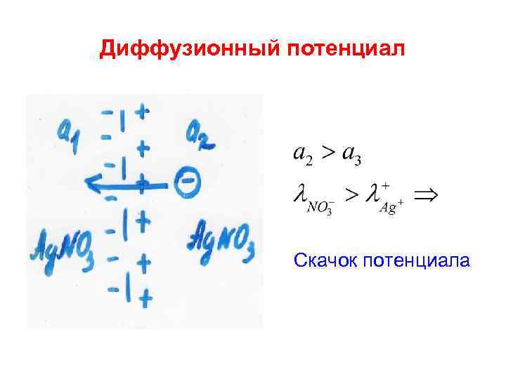 Диффузионный потенциал Скачок потенциала 