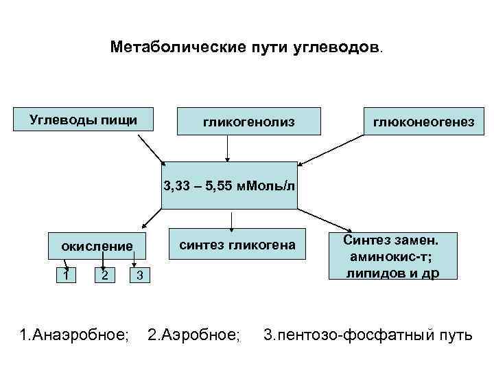 Метаболические пути углеводов. Углеводы пищи гликогенолиз глюконеогенез 3, 33 – 5, 55 м. Моль/л