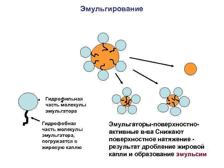 Эмульгирование Гидрофильная часть молекулы эмульгатора Гидрофобная часть молекулы эмульгатора, погружается в жировую каплю Эмульгаторы-поверхностноактивные