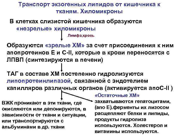 Транспорт экзогенных липидов от кишечника к тканям. Хиломикроны В клетках слизистой кишечника образуются «незрелые»