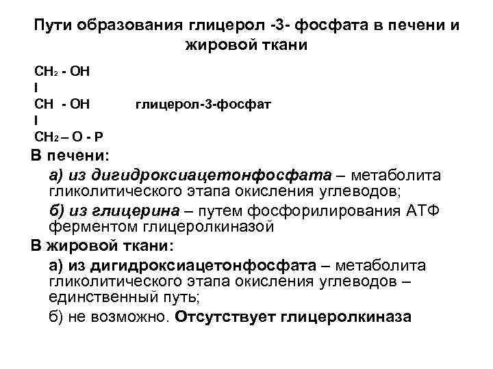 Пути образования глицерол -3 - фосфата в печени и жировой ткани СН 2 -