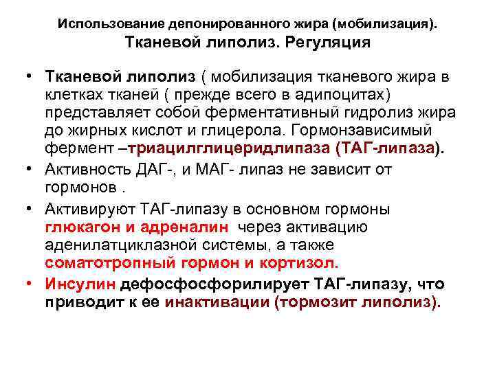Использование депонированного жира (мобилизация). Тканевой липолиз. Регуляция • Тканевой липолиз ( мобилизация тканевого жира