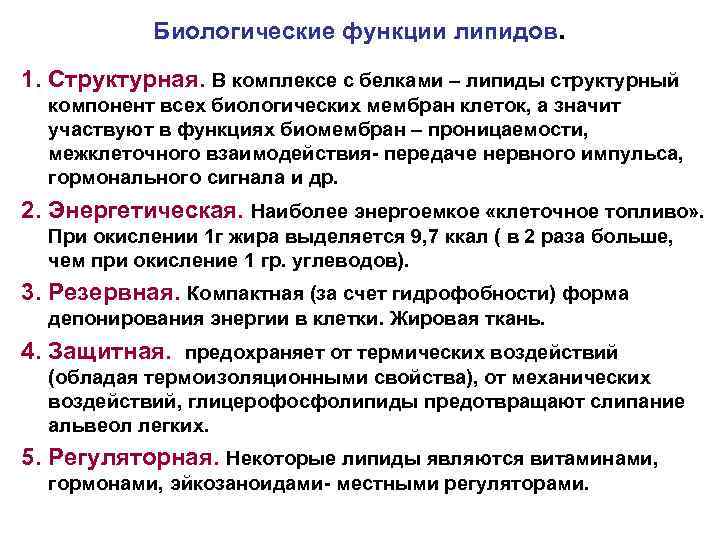 Биологические функции липидов. 1. Структурная. В комплексе с белками – липиды структурный компонент всех
