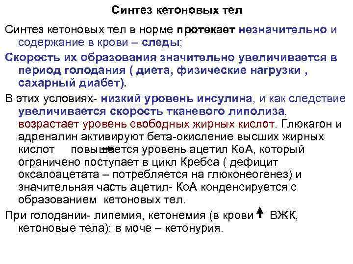 Синтез кетоновых тел в норме протекает незначительно и содержание в крови – следы; Скорость