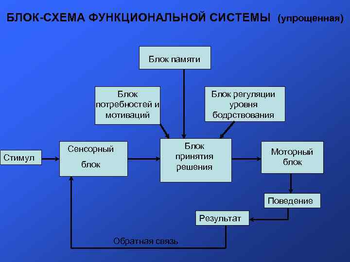 БЛОК-СХЕМА ФУНКЦИОНАЛЬНОЙ СИСТЕМЫ (упрощенная) Блок памяти Блок потребностей и мотиваций Стимул Сенсорный блок Блок